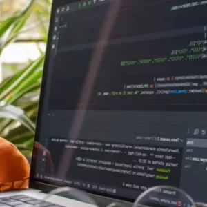 Web Developer Training