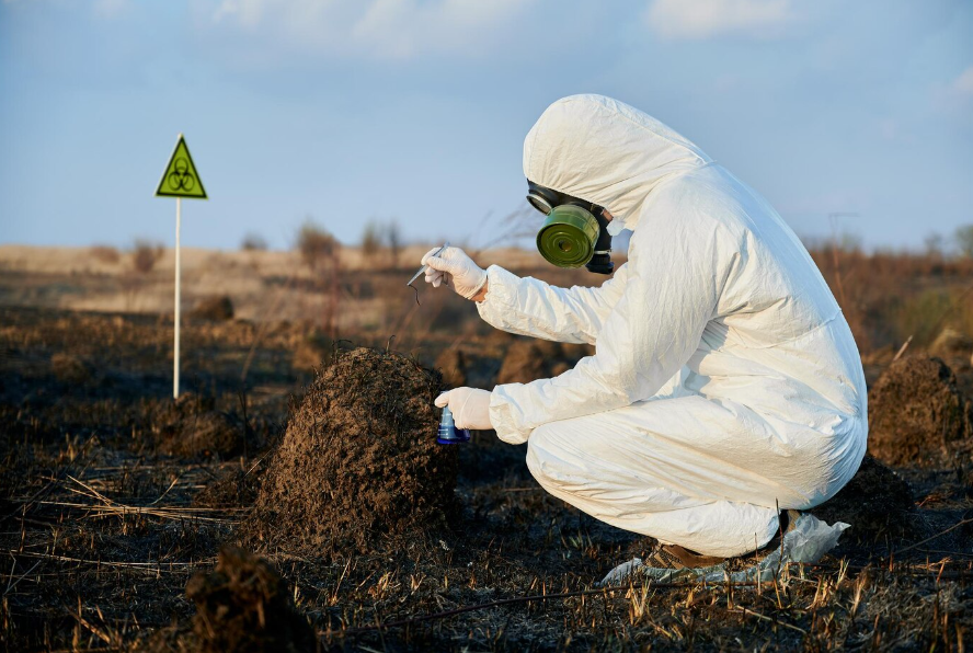 Asbestos Surveyor