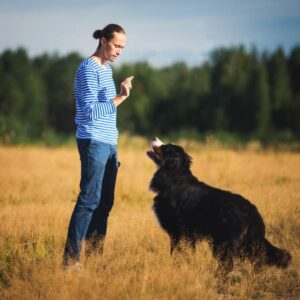 Dog Training - Stop Dog Barking