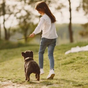 Dog Training - Train Puppies