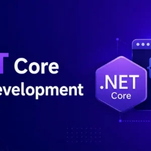 NET Core API Development