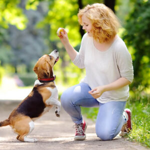 CPD Certified Professional Dog Trainer