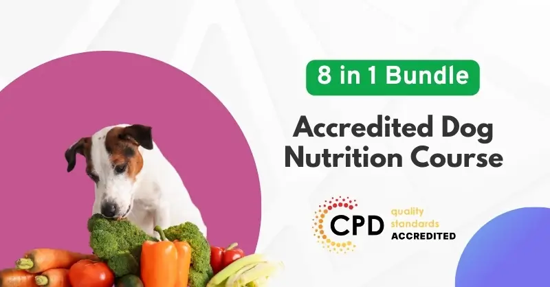 Accredited Dog Nutrition Course