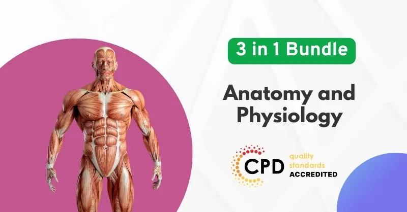 Anatomy and Physiology