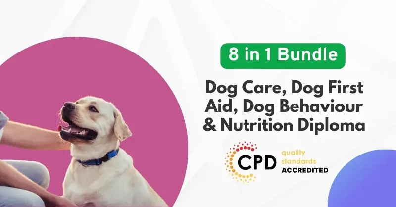 Dog Care, Dog First Aid, Dog Behaviour & Nutrition Diploma