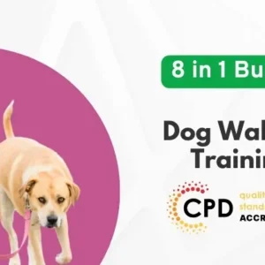 Dog Walking Training