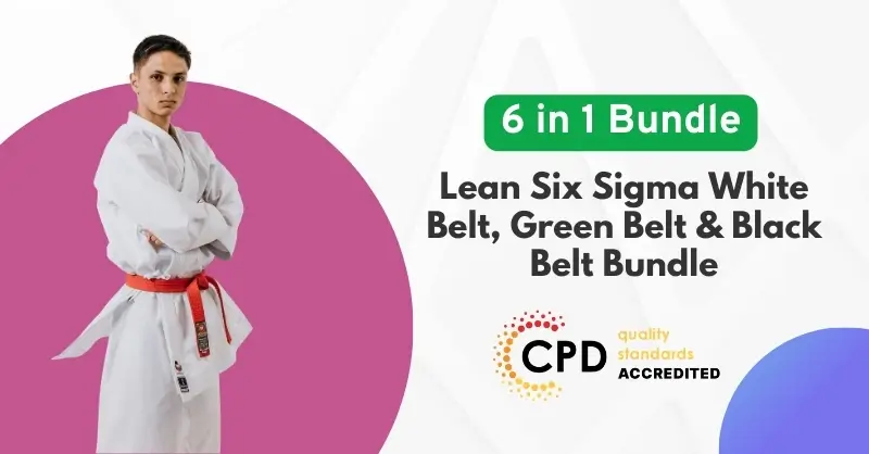 Lean Six Sigma White Belt, Green Belt & Black Belt Bundle